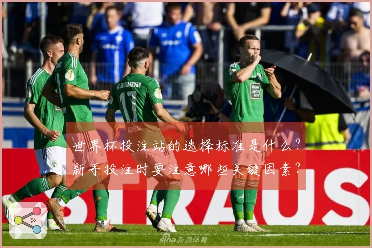 世界杯投注站的选择标准是什么？新手投注时要注意哪些关键因素？