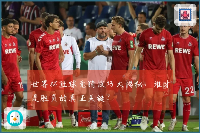 世界杯让球竞猜技巧大揭秘，谁才是胜负的真正关键？