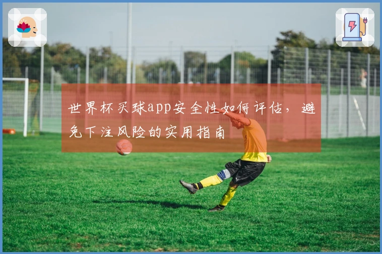世界杯买球app安全性如何评估，避免下注风险的实用指南