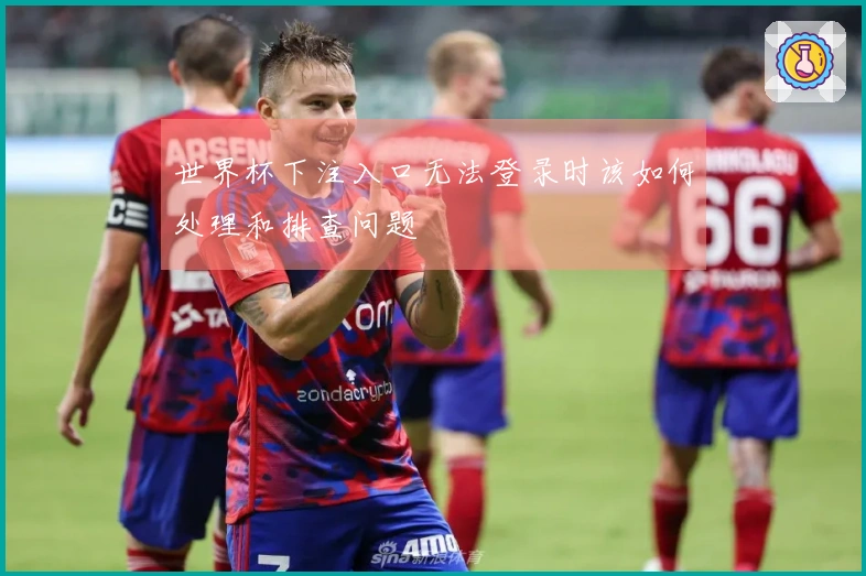 世界杯下注入口无法登录时该如何处理和排查问题