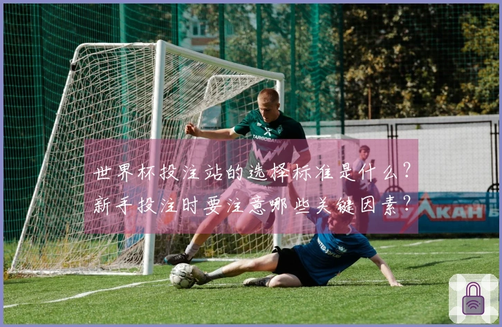 世界杯投注站的选择标准是什么？新手投注时要注意哪些关键因素？